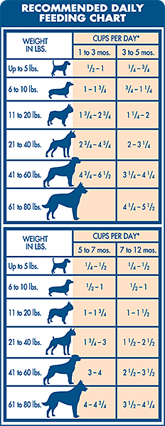 pro plan puppy large breed feeding guide
