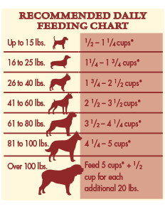 Canidae Puppy Food Feeding Chart